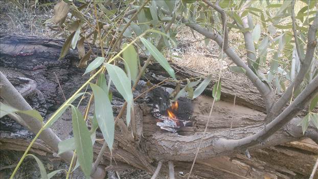 بي مهري در به آتش کشيدن درختان کوهسنگ توسط مهمانان طبيعت سنگان عده اي براي لحظه اي سرگرمي طبيعت را براي هميشه از بين ميبرند94/4/30 - این عکس توسط محسن دهباشی گرفته شده