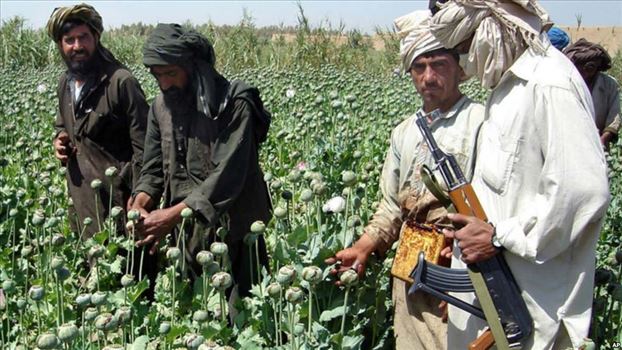 حمله های فزاینده هوایی آمریکا و افغانستان به تاسیسات تولید مواد مخدر طالبان